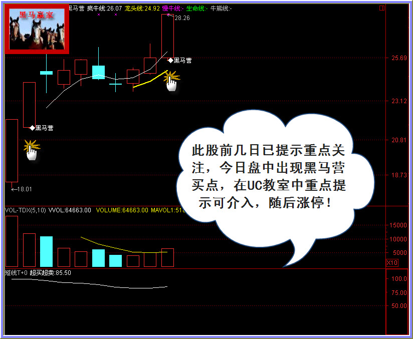 【全赢决策】(黑马营)今日实盘再捉四只涨停黑